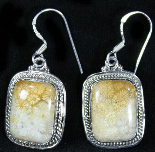 Beautiful Fossil Coral Sunburst Earrings - Sterling Silver #26569